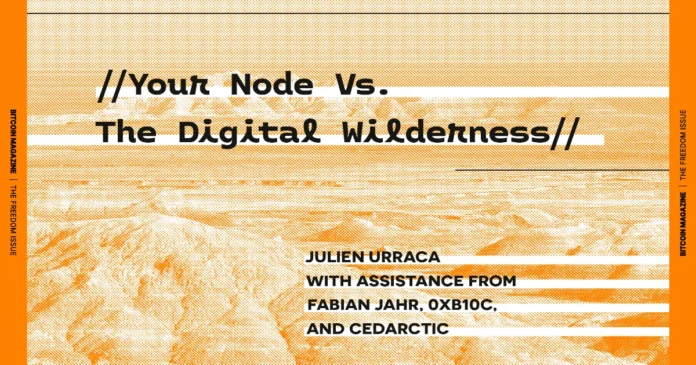 The Core Issue: Your Node Vs. The Digital Wilderness