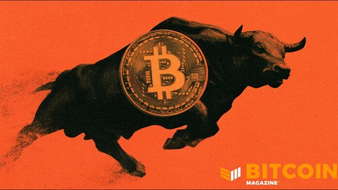 Bitcoin Posts Best Week Since 2023 as More Than $1 Billion in Shorts Are Wiped Out 2