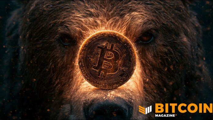 Fidelity:比特币熊市或未结束,11 月仍可能再探底 2