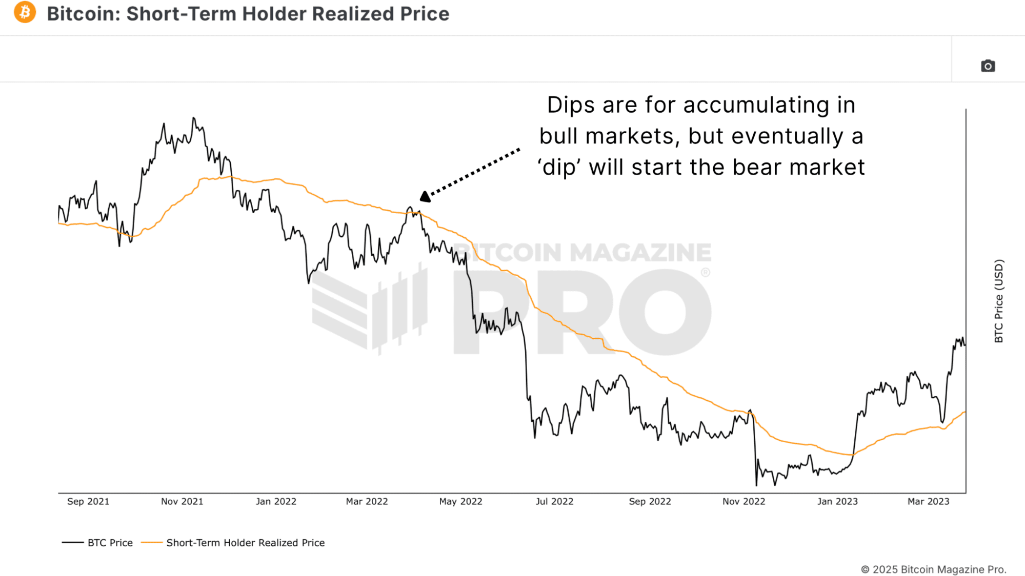 Bitcoin Price Dip Or New Bear Market?