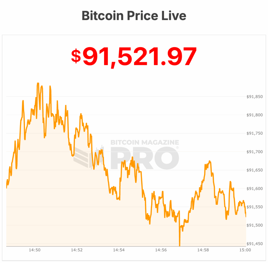 Bitcoin Price Freefalls Down to $91,0000 and New Lows 1 Bitcoin Price
