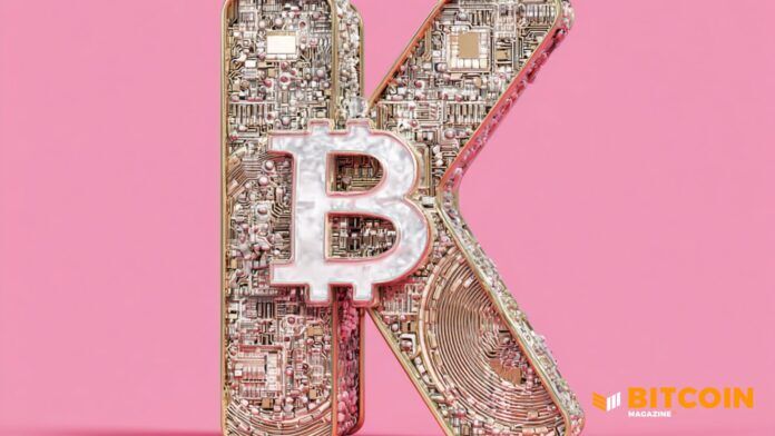 Klarna Hợp Tác Với Privy Để Khám Phá Việc Sử Dụng Ví Tiền Mã Hóa